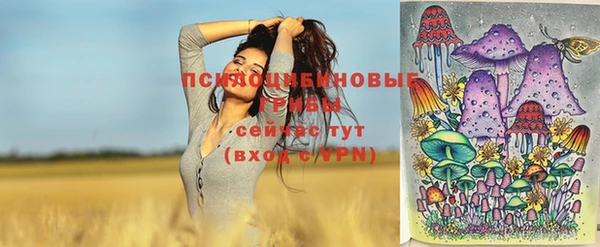 стафф Арсеньев
