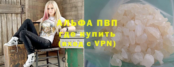 стафф Арсеньев