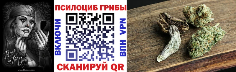 Галлюциногенные грибы GOLDEN TEACHER где найти наркотики Бакал